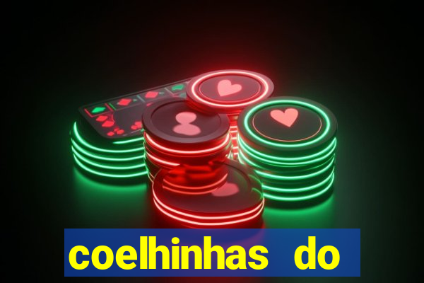 coelhinhas do brasil acompanhantes