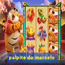 palpite do marcelo