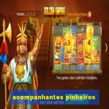 acompanhantes pinheiros