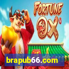 brapub66.com