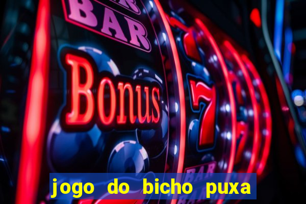 jogo do bicho puxa de dona maria