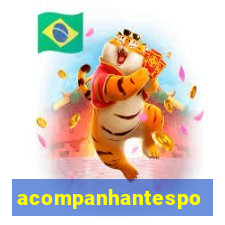 acompanhantesportovelho